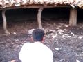 DSCF4494