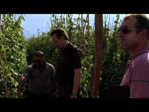 view trailer