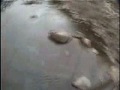 Close Call Base Jump
