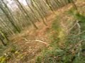 chasse aux chiens courants 3