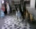 adnt-pti-passage.html