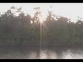 videos de Viagem de moto - Passo Fundo - Guiana Francesa - parte 8