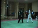 Hapkido Kyo Hoon Reus Spain