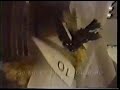 Jet Engine Bird Injestion Test