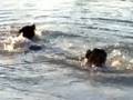 Baignade de Cenka 11 mois et Max 10 ans