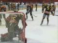 Hv71-Brynäs 4-3 sudden (2 januari 2009)