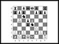 Scotch Gambit: How to Play [1]