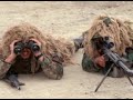 Armée de terre