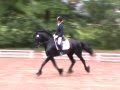 A-Dressur Koekje Höpfingen