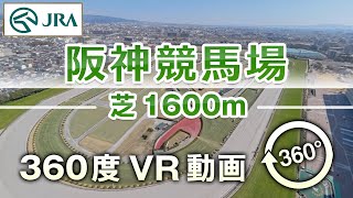 VR