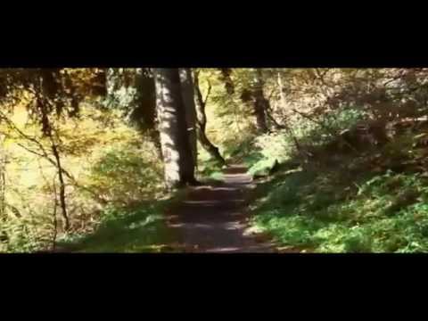 Youtube Video q0F8rHDeo1c