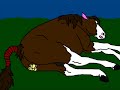 Mare foaling