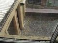 Sydney Hail Storm (#3)