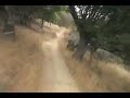 Tedshred Trails - China Camp State Park