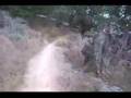 Tedshred Trails - China Camp State Park