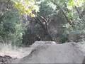 bike jumping