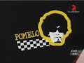 pomelo 8/10/2007