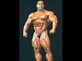 BruteMorphs - Nasser El Sonbaty BruteMorphs - Nasser El Sonbaty