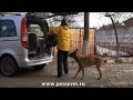 В главной роли - малинуа Флинт :)