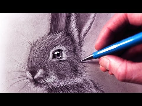 video-linktoworks-How to Draw a Rabbit