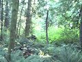 Trails in my neck of the woods