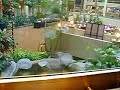 riding the other elevator at embassy suites in bellevue washington