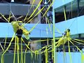 Regrowing Eden-Cell (Climbing Performance)