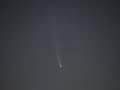 McNaught Comet