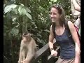 borneo2-hili.mp4