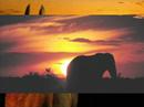 P�r do Sol