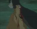Wolf\