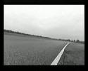 tribute-to-ko-d1driftking-yasuyuki-rodeo-clown-kazama.html