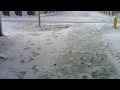 Tormenta de Nieve 6. Snow Storm 6
