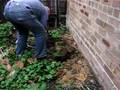 Bokashi Composting