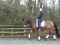 Pinky Heintz 2008 Roman Pinky Heintz 2008 Roman