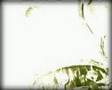 SLIT - VIDEO - 2007