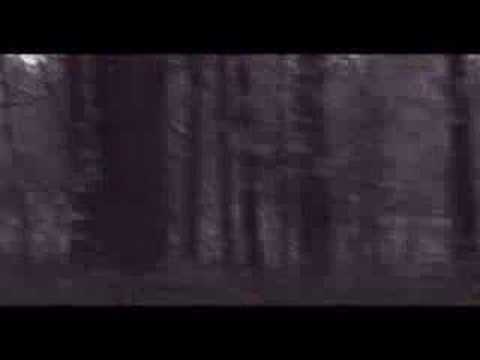 Deathlike Existence - ...
