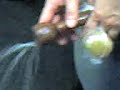 MANDINGO PRODUCTION I