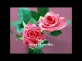 Mãe – Mara Maravilha Mãe – Mara Maravilha