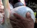 autopsia