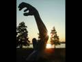 videos de Paradise