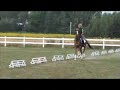 Alga 4-year old mare FOR SALE for dressage, eventing, jumping Alga 4-year old mare FOR SALE for dressage, eventing, jumping