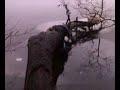 hauska sattuma,saatiin hyvät naurutfunny if you understand finnish