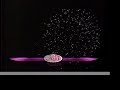 coronacion de nuestra belleza jalisco 2004