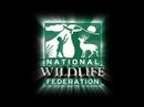 National Wildlife Federation\ National Wildlife Federation\