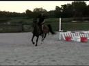 Vivas Gentleman Hoppning