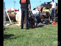 Harley Chainsaw