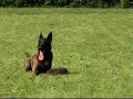 \"Ajax\" voorwerp bewaken 05/08 \"Ajax\" voorwerp bewaken 05/08