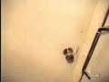 Search Video