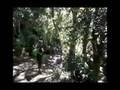 Ecotour 2